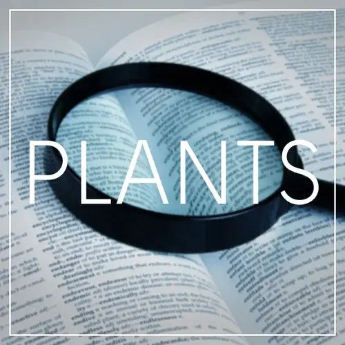 PLANTS